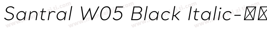 Santral W05 Black Italic字体转换